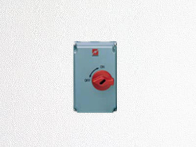 曼奈柯斯 負(fù)載隔離開(kāi)關(guān)